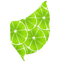 FREEAMG Lime Slices Silk Long Scarf for Women Large Oblong Sunscreen Shawls Wraps Neck Headscarf Hair Wraps Gift Packed