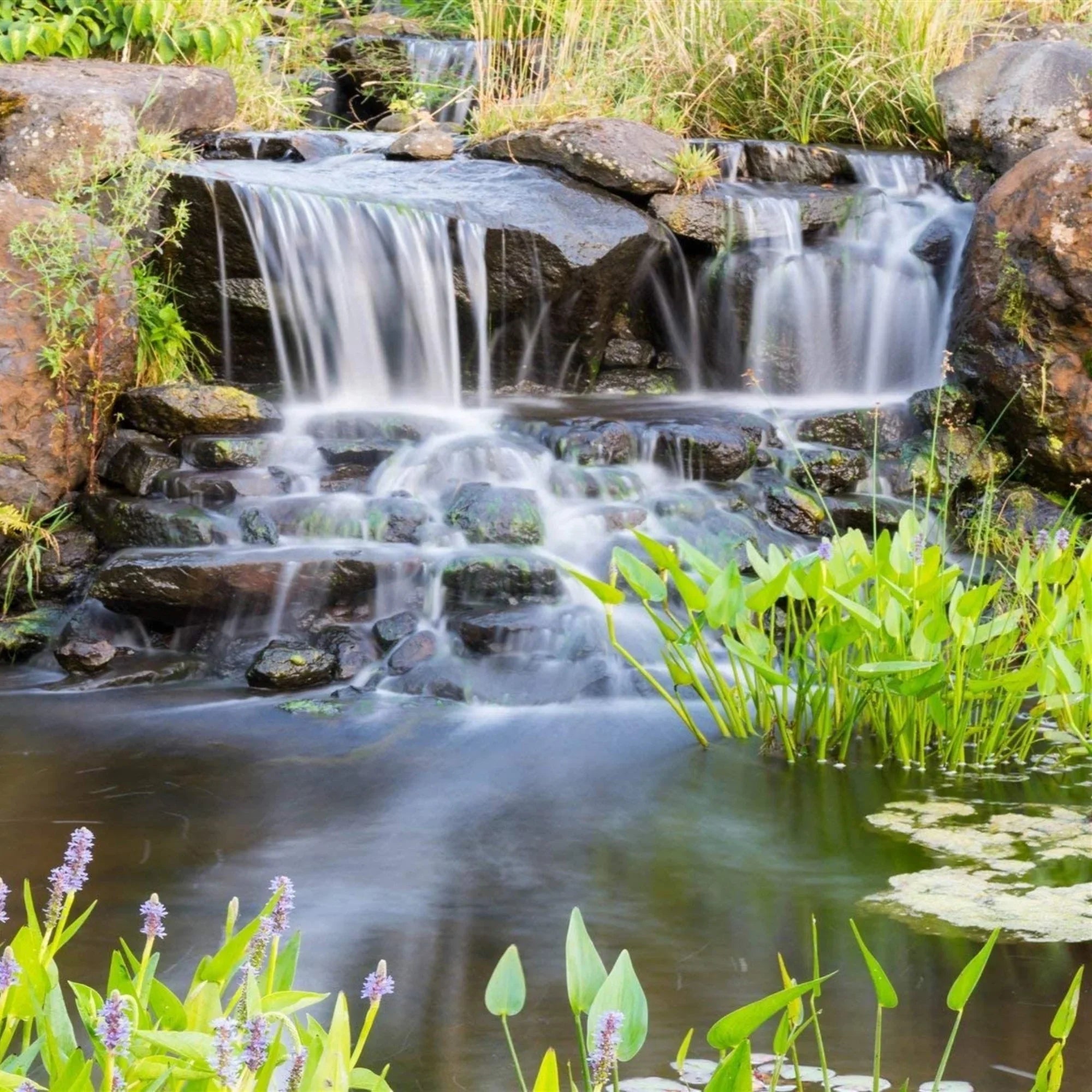HALF OFF PONDS Piranha Series 3,000 GPH Direct Drive Submersible Pump for Water Gardens, Ponds and Waterfalls - PN-3000
