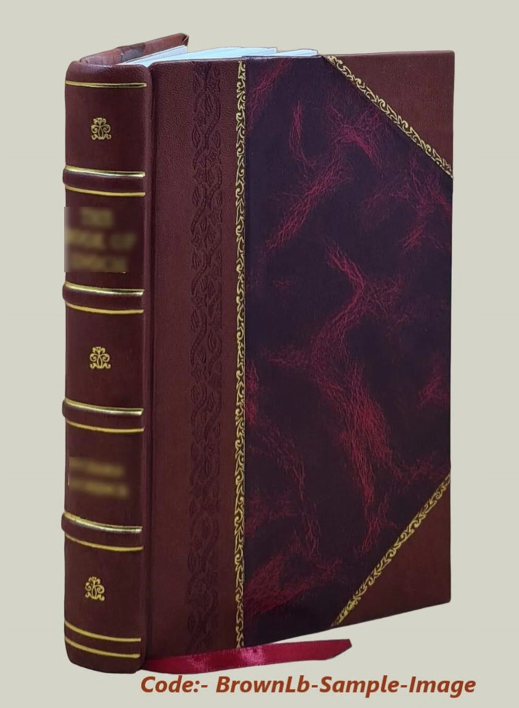 Man and beast in eastern Ethiopia : From observations made in British East Africa, Uganda, and the Sudan / by J. Bland-Sutton ...With two hundred and four engraving [Leather Bound]
