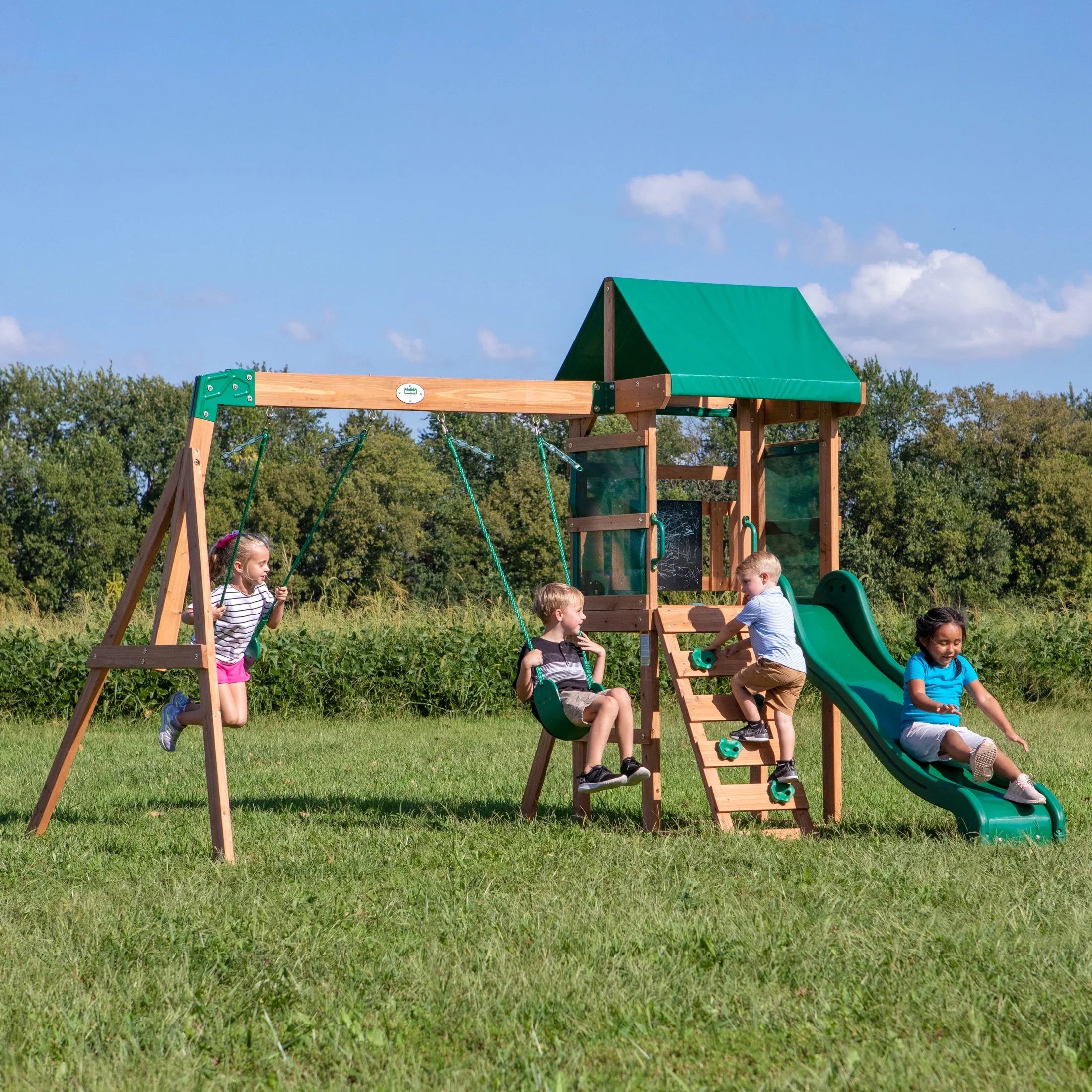 Backyard Coating Latch Hill Swing Set