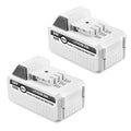 2Packs 10000mAh Li-ion Battery Matching with Sun Joe and Snow Joe 24V Battery for 24VBAT-LTX 24VBAT-LTW 24VBAT-LTE 24VBAT-LT 24VBAT 24V-X2-SB18 iON+ System for All Joe iON+ 24V Cordless Snow Blower
