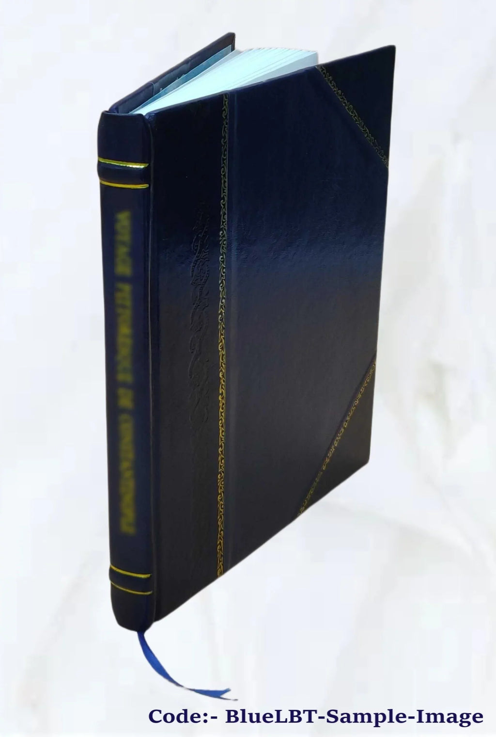 Water resources, technical report : Rocky Mountain Pipeline Project : environmental impact statement 1981 [Leather Bound]
