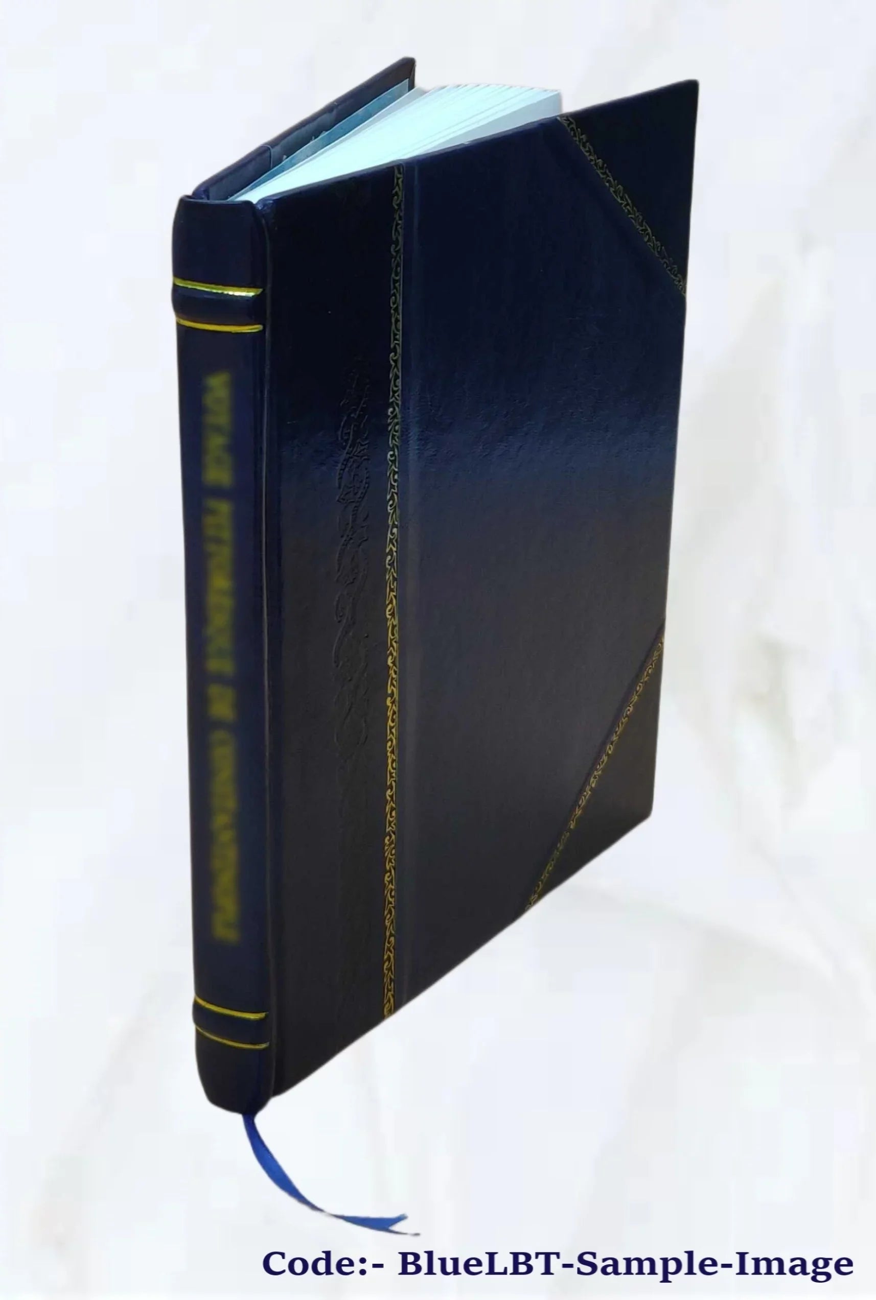 Water resources, technical report : Rocky Mountain Pipeline Project : environmental impact statement 1981 [Leather Bound]
